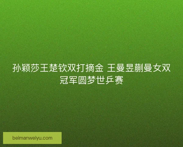 孙颖莎王楚钦双打摘金 王曼昱蒯曼女双冠军圆梦世乒赛