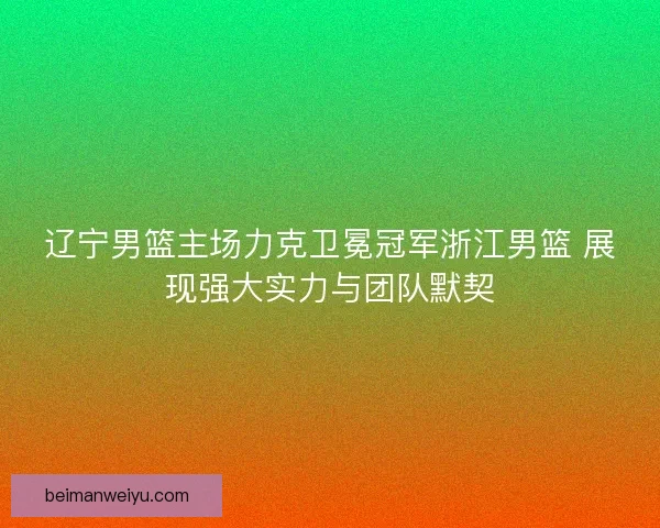 辽宁男篮主场力克卫冕冠军浙江男篮 展现强大实力与团队默契